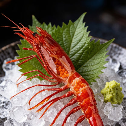 Red Deep-sea Prawn
