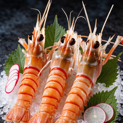 Sashimi Langoustine